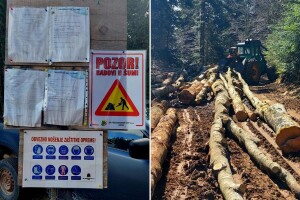 Najavljen detaljan nadzor šuma u ovom dijelu BiH