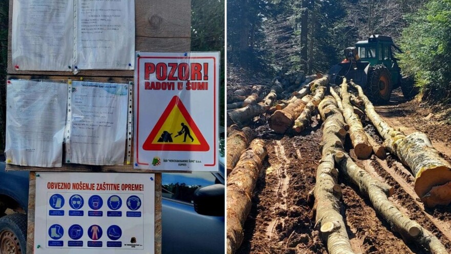Najavljen detaljan nadzor šuma u ovom dijelu BiH