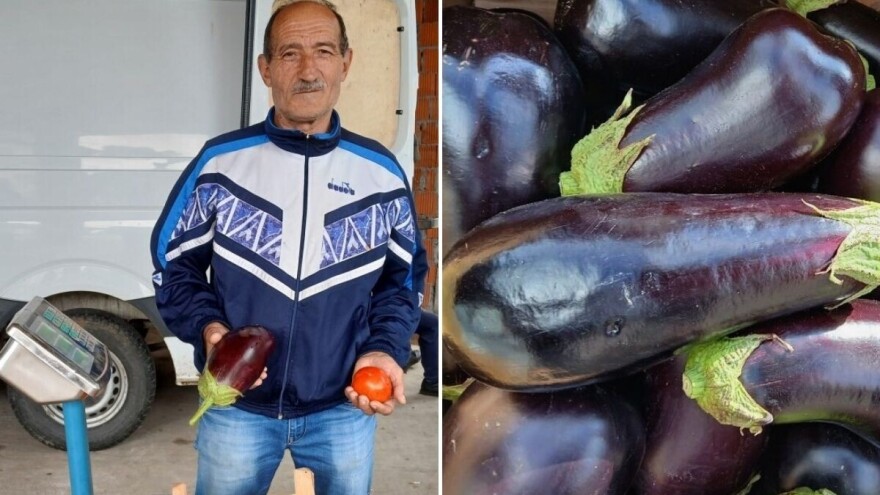 Kod domaćina Kostića paradajza u izobilju, a patlidžan težak i dva kilograma