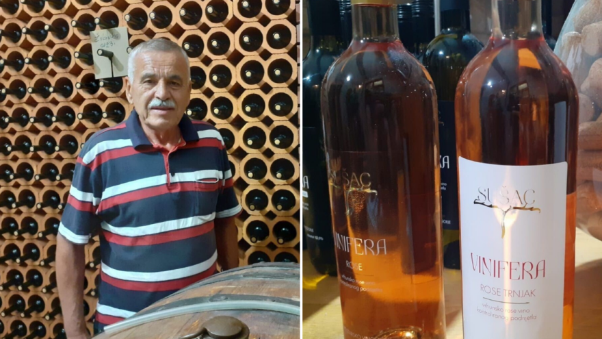 Prvi klonovi autohtonog trnjka dali odlične rezultate, na redu blatina i žilavka