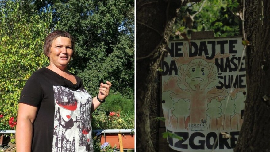 Šuma je idealna učionica, više od 4.000 djece prošlo je edukaciju šumske pedagoginje Irene Mišković