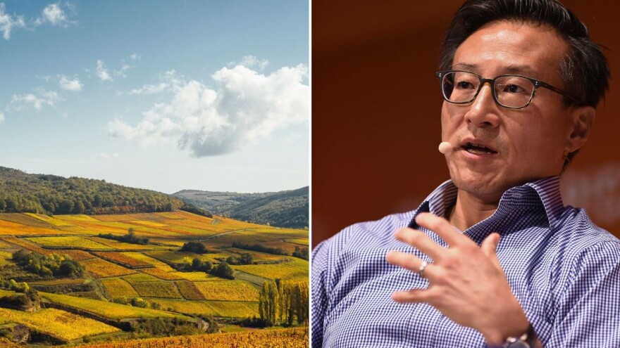 Suosnivač Alibabe Joe Tsai ulaže u poljoprivredu - u kojem sektoru vidi budućnost?