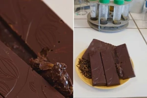 Čokolada od brašna od crva? Ipak ne! O čemu je onda reč?