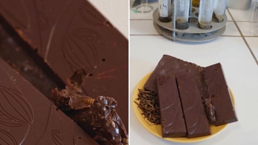 Čokolada od brašna od crva? Ipak ne! O čemu je onda reč?