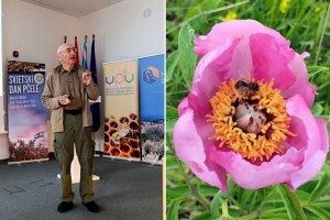 Damir Rogulja: Tri od četiri zalogaja na neki su način rezultat djelovanja oprašivača