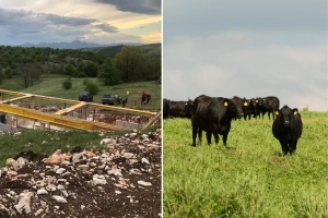 Diglo se čitavo selo da izgrade prvu farmu: Vraća se život u Ljubunčić