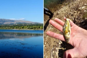 Krivolov usred mrijesta: Ko krade ribu iz Buškog jezera tokom noći?