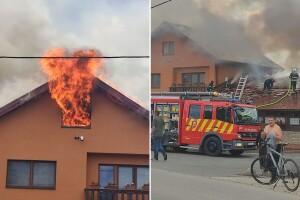 Vatra guta legendarni restoran Citadela, ponos baranjske poljoprivredne obitelji