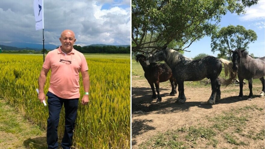 I ljubav i profit: Željko Trnka uzgaja 50 hrvatskih hladnokrvnjaka