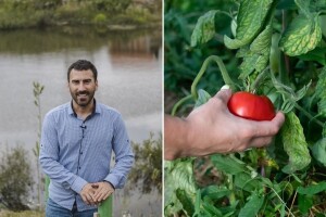 Beograd zamenio netaknutom prirodom: Pavle je ostvario svoj san o organskoj proizvodnji