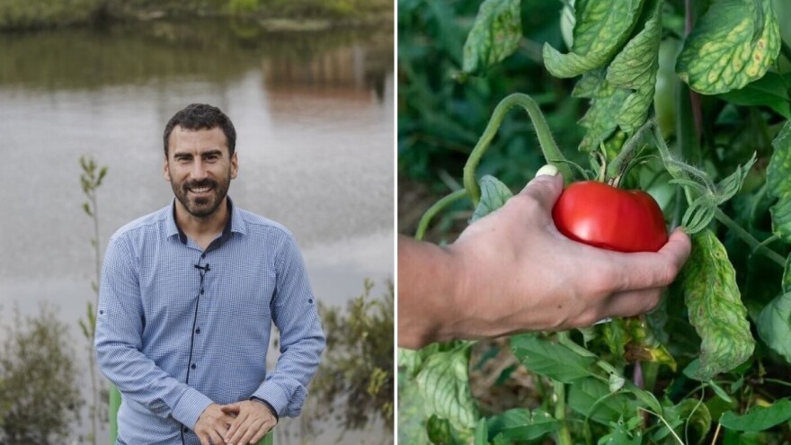 Beograd zamenio netaknutom prirodom: Pavle je ostvario svoj san o organskoj proizvodnji