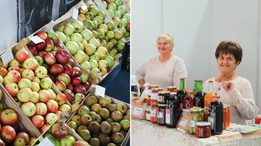 Goražde tri dana u znaku jabuke: Svaki proizvođač zlata vrijedan