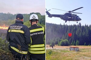 Vanredna situacija na teritoriji Vranja zbog požara, izgorelo 100.000 sadnica crnog bora i bagrema