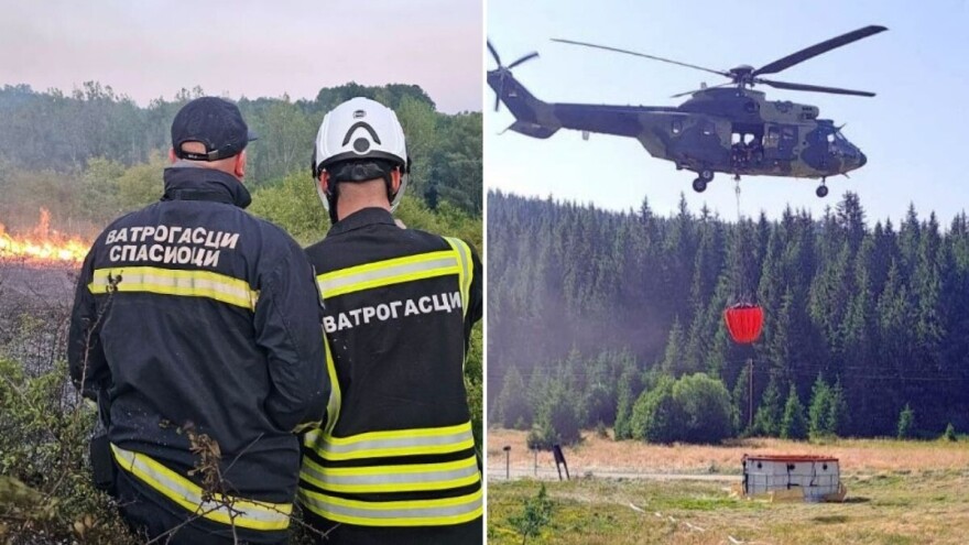 Vanredna situacija na teritoriji Vranja zbog požara, izgorelo 100.000 sadnica crnog bora i bagrema