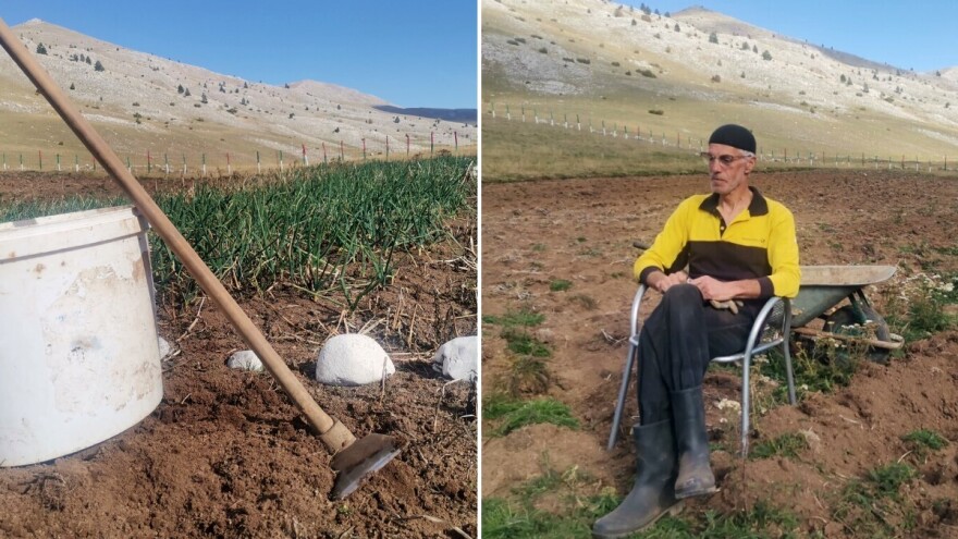 Jedan Zijo sam na Bjelašnici: Da mi vrate djedovinu, dao bih zemlju u gradu