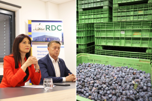 Domaće voće i povrće: RDC Osijek gotovo popunio kapacitete