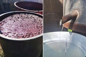 Kad šljivovica zamiriše Sremom - "vesela mašina" ne prestaje da radi