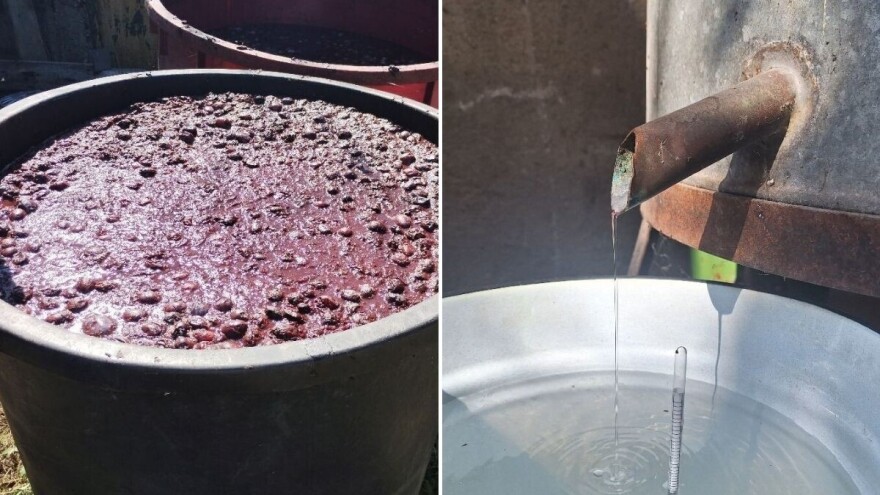 Kad šljivovica zamiriše Sremom - "vesela mašina" ne prestaje da radi