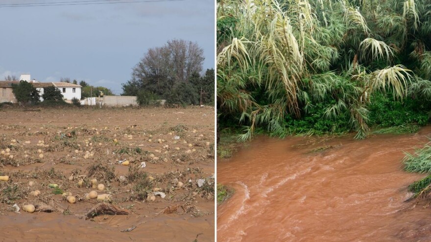 Vapaj španskih poljoprivrednika: Suočavamo se sa katastrofom, gubici će se tek zbrajati