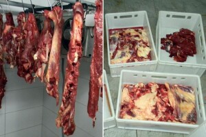 Otkrivena ilagalna klaonica u bh. komšiluku: Prodavali škodljivo meso