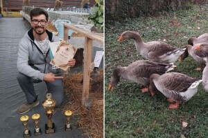 Na farmi kod Šukurme glavne su guske: Velike galamdžije praćene i na YouTubeu