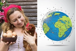 Industrija od 29 milijardi ptica: Kako je peradarstvo postalo stub globalne prehrane