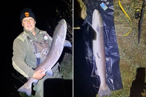 Pali rekordi na Drini i Ćehotini: "Makso je ćaća igrice"