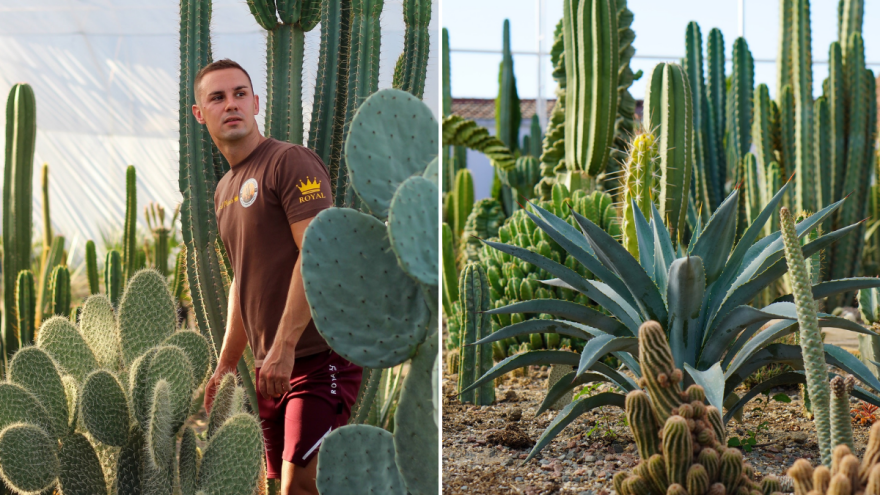 Milan među kaktusima: Zavirite u prvu mediteransku botaničku baštu u Srbiji!