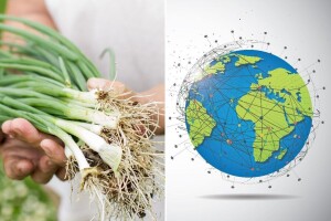 Mladi luk: Od faraona do globalne trgovine