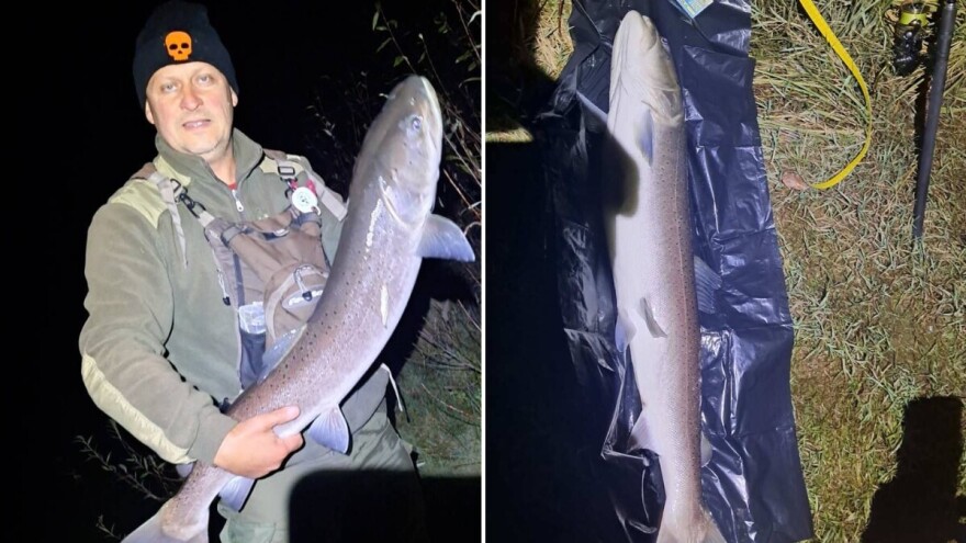 Pali rekordi na Drini i Ćehotini: "Makso je ćaća igrice"