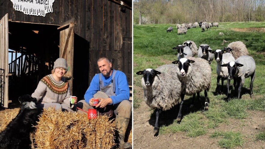 Iz Finske u bh. komšiluk: Mia je izabrala Ivana, selo i život sa stotinu ovaca