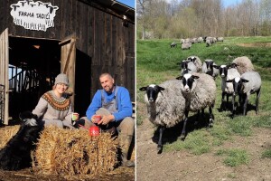 Iz Finske u Pričević: Mia je izabrala Ivana, srpsko selo i život sa stotinu ovaca