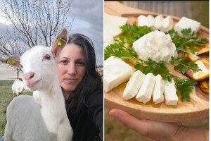 Jelena je inženjerka poljoprivrede - izabrala je da gaji sanske koze i pravi sir