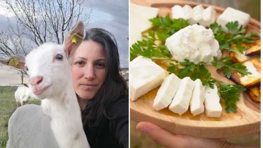 Jelena je inženjerka poljoprivrede - izabrala je da gaji sanske koze i pravi sir