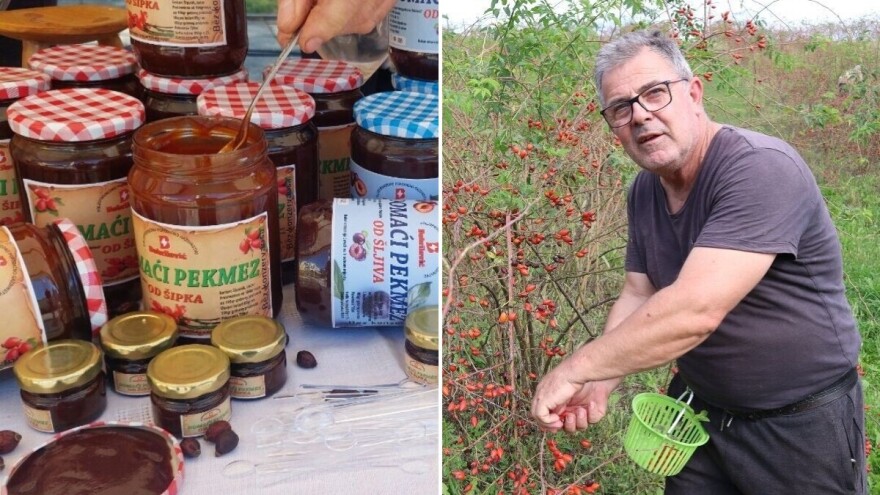 Boro oživio seosko imanje i napravio biznis sa šipkom