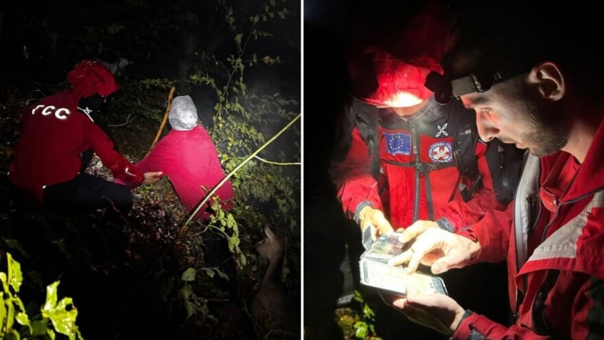 Uspešno spašena starija žena: Izvela koze na ispašu i izgubila se u šumi