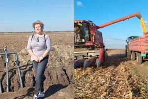 Dragana Padejski: Uz podzemno navodnjavanje do 14 t/ha kukuruza