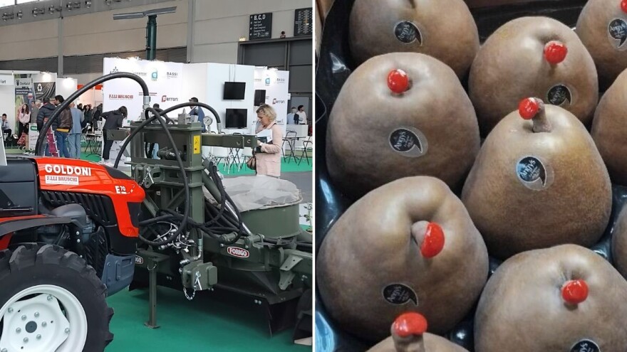 Agroklub u Riminiju: Svijet daleko ispred nas - ventilatori za zlatice, voće za bogataše!