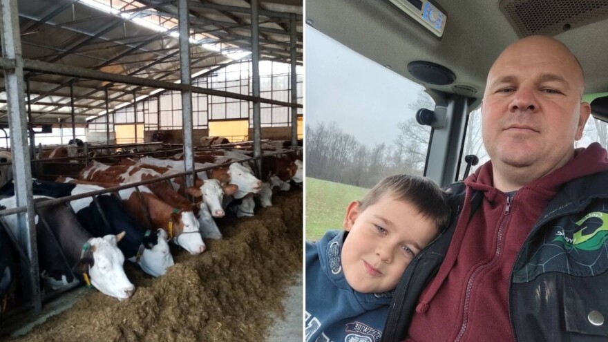 Hoće li farmeri biti prinuđeni bacati mlijeko: Đenadiji tri tone ostaju bez plasmana