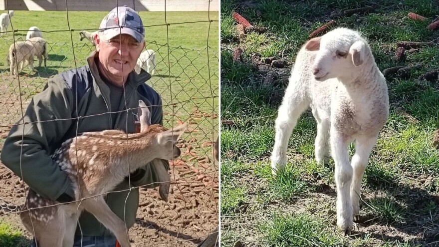 Darko Zovko: Lovni turizam u Hrvatskoj je u velikom porastu