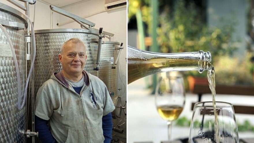 Organska vina Branislava Anđelića: "Tajna je u zdravom grožđu"