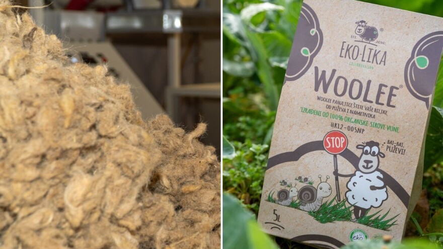 Hrvatski proizvodi od ovčje vune iznova su certificirani za ekološku poljoprivredu
