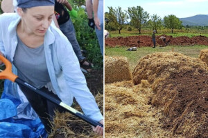 Vrućim kompostiranjem brzo do kvalitetnog supstrata i zimi, evo kako