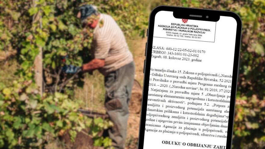 Vinogradari diskriminirani u odnosu na druge poljoprivrednike pogođene prirodnom nepogodom?