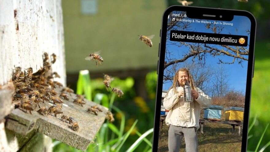 Kako pčelarski influenseri utiču na svet pčelarstva?