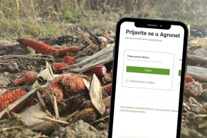 Završne kontrole prihvatljivosti pred isplatu izravne potpore, provjerite status monitoringa