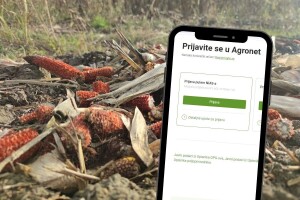 Završne kontrole prihvatljivosti pred isplatu izravne potpore, provjerite status monitoringa