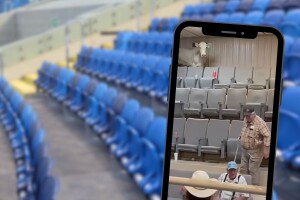 Krava bježala s aukcije, oštetila krov dvorane i izazvala haos među posjetiteljima