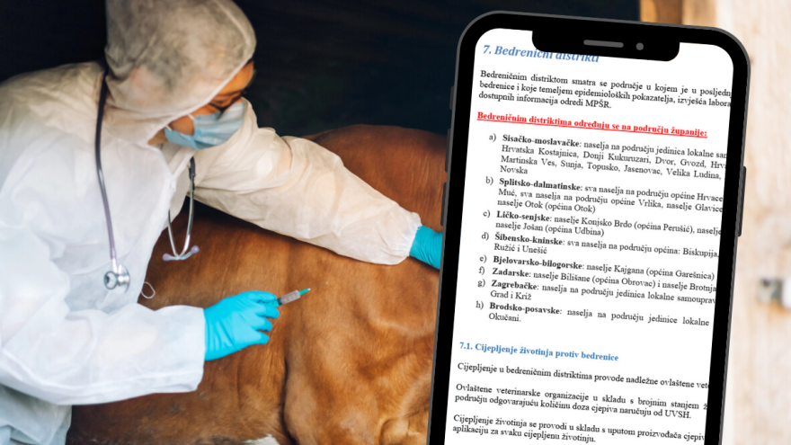 Ažuriran je Program kontrole bedrenice u Hrvatskoj  - što to znači i koje mjere donosi?