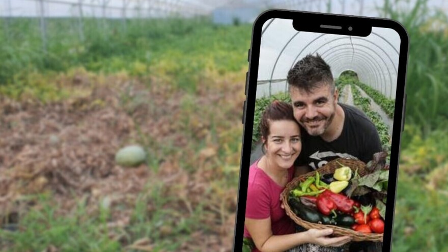 Crveni pauk velika je prijetnja povrću, na OPG-u Novak suzbijaju ga predatorskom grinjom